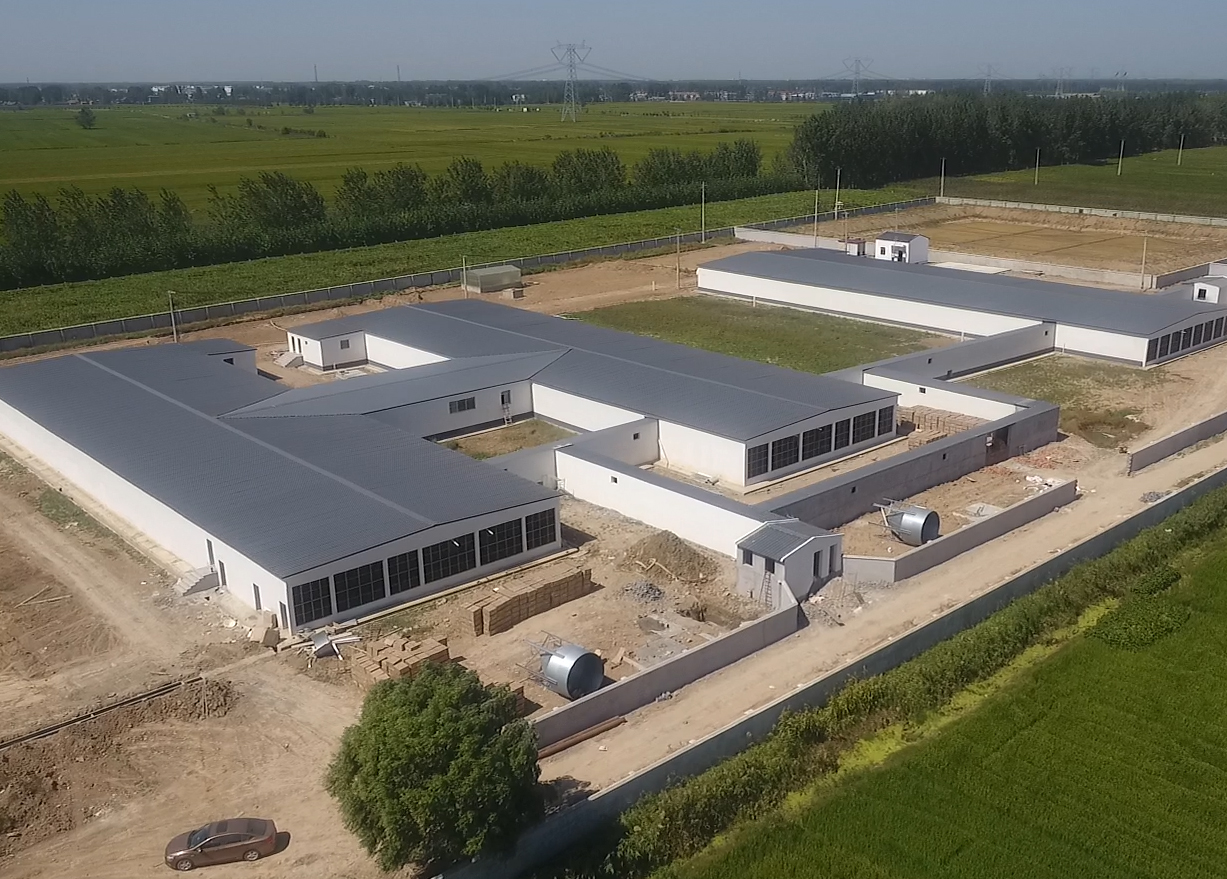 EBPayAntibio系统-灌云公猪站空气过滤