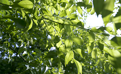 EBPay学堂即将启幕