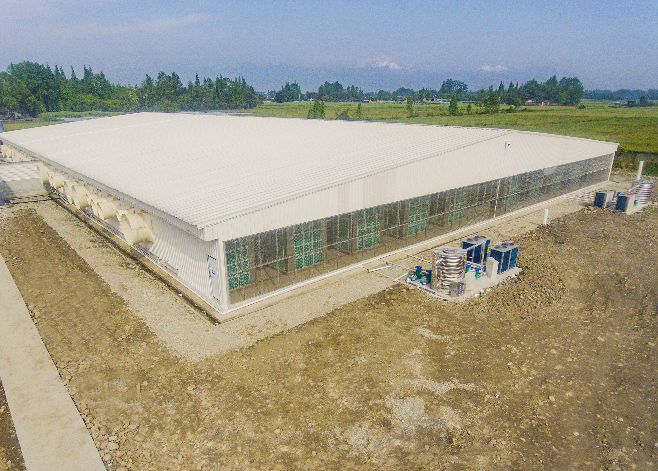 猪场空气过滤(EBPayAntibio系统—巨星农牧观胜育种场项目)